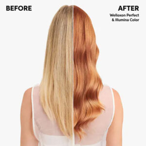 Wella Professionals Welloxon Perfect 6% 20vol 1000ml_4064666212210-2