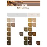 COLOR TOUCH 10/1 60ML .