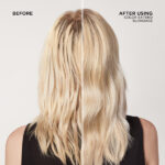 Redken-2020-EComm-Blondage-Before-After-Opt3-2000x2000