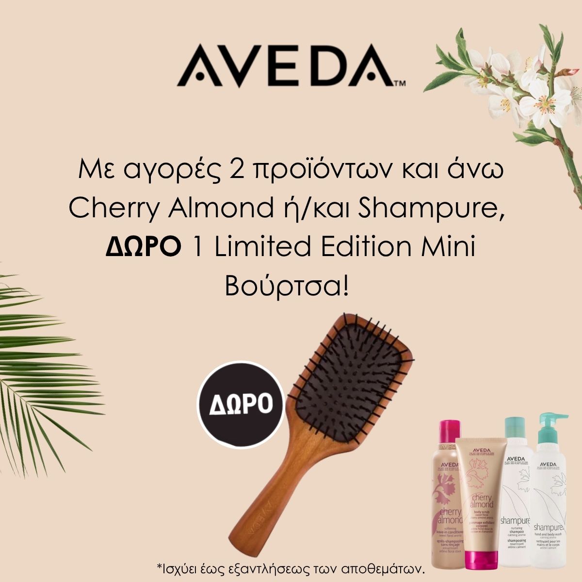 aveda offer may 26 aveda may offer mini brush