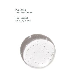 Aveda Rosemary Mint Purifying Shampoo 250ml