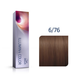 wp illumina color 6/76