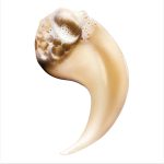 L'Oréal Professionnel Absolut Repair Σαμπουάν Για Ταλαιπωρημένα Μαλλιά 300ml