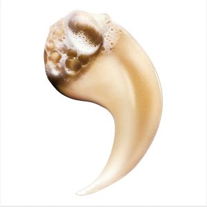 L'Oréal Professionnel Absolut Repair Σαμπουάν Για Ταλαιπωρημένα Μαλλιά 300ml