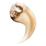 L'Oréal Professionnel Absolut Repair Σαμπουάν Για Ταλαιπωρημένα Μαλλιά 500ml