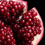 FY21_NP_MPP_Pomegrante_Square