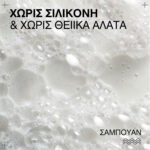 Redken Acidic Bonding Curls Σαμπουάν για Ξηρά Σγουρά & Άφρο Μαλλιά 300ml_3474637208943-1