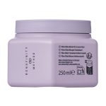 Schwarzkopf Professional Fibre Clinix De-Frizz Treatment 250ml_4067971068367-1