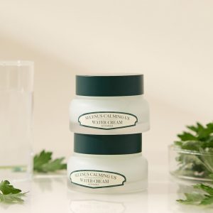 Artemisia Calming Us Water Cream