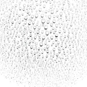 aveda smooth infusion™ perfect blow dry