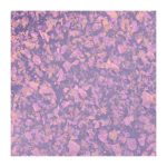 OPI Infinite Shine - Where Time Stuns Still 15ml