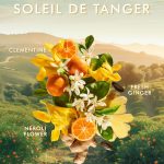 Moroccanoil Body Lotion Soleil de Tanger 360ml