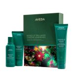 Aveda Bonds Of Brilliance Botanical Repair™ Strenghtening Essentials Gift Set