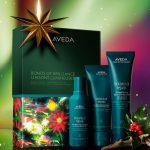Aveda Bonds Of Brilliance Botanical Repair™ Strenghtening Essentials Gift Set