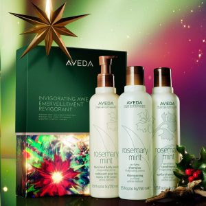 Aveda Invigorating Awe Rosemary Mint Hair & Body Essentials Gift Set