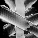 Sebastian Professional Penetraitt Conditioner 200ml