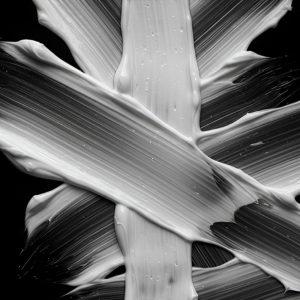 Sebastian Professional Penetraitt Conditioner 200ml