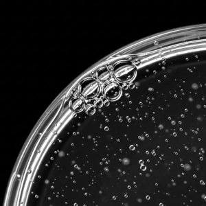 Sebastian Professional Groom Hair & Beard Oil 30ml